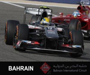 yapboz Esteban Gutierrez - Sauber - 2013 Bahrain International Circuit
